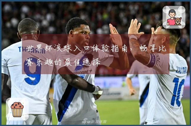 世界杯滚球入口体验指南，畅享比赛乐趣的最佳选择