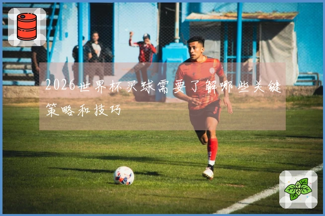 2026世界杯买球需要了解哪些关键策略和技巧