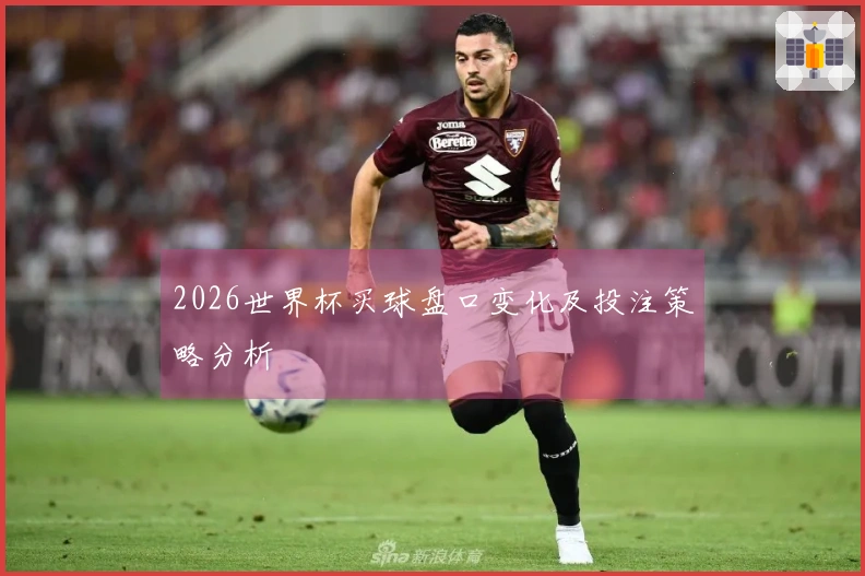 2026世界杯买球盘口变化及投注策略分析