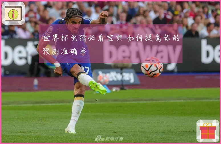 世界杯竞猜必看宝典 如何提高你的预测准确率