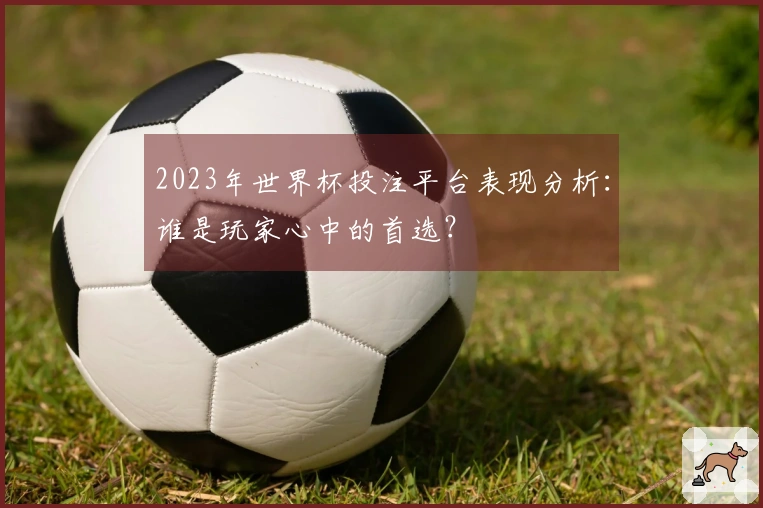 2023年世界杯投注平台表现分析：谁是玩家心中的首选？