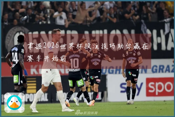 掌握2026世界杯投注技巧助你赢在赛季开始前