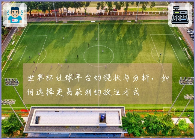 世界杯让球平台的现状与分析，如何选择更易获利的投注方式