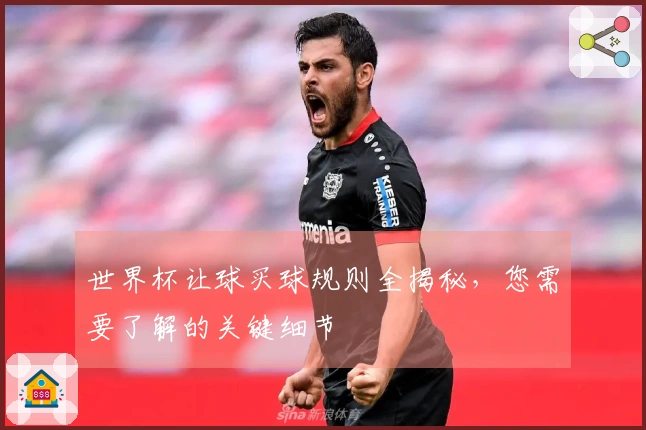 世界杯让球买球规则全揭秘，您需要了解的关键细节