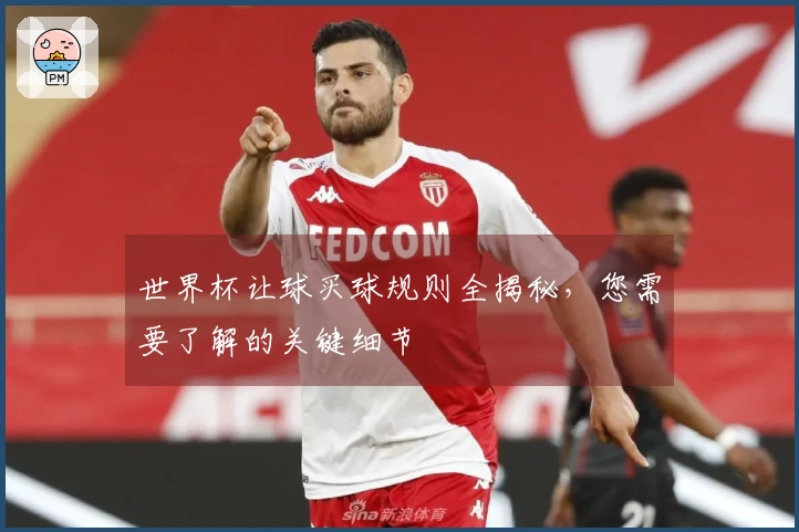 世界杯让球买球规则全揭秘，您需要了解的关键细节