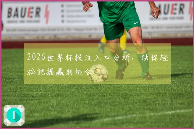 2026世界杯投注入口分析，助你轻松把握赢利机会